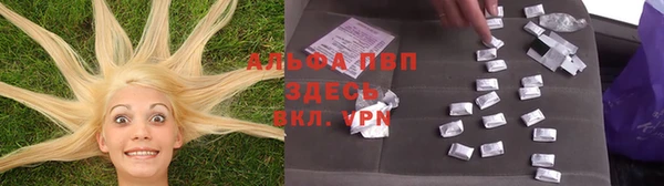 мяу мяу мука Беломорск